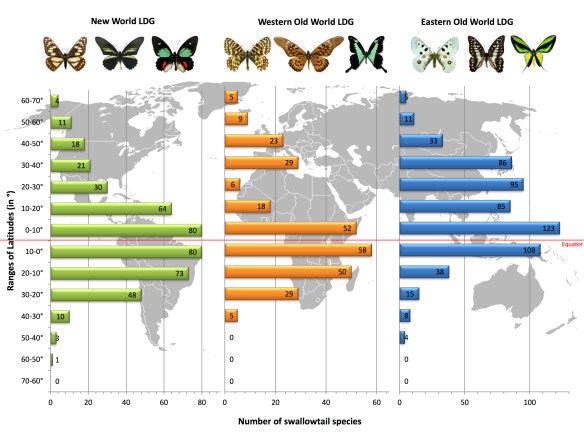 Latitudinal diversity gradient