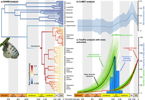 Temporal diversification